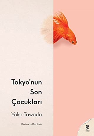 Images of the Turkish version